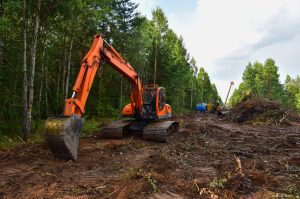 Excavator clearing forest for new land development